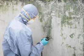 Best Mold Prevention Services  in Ashland, WI